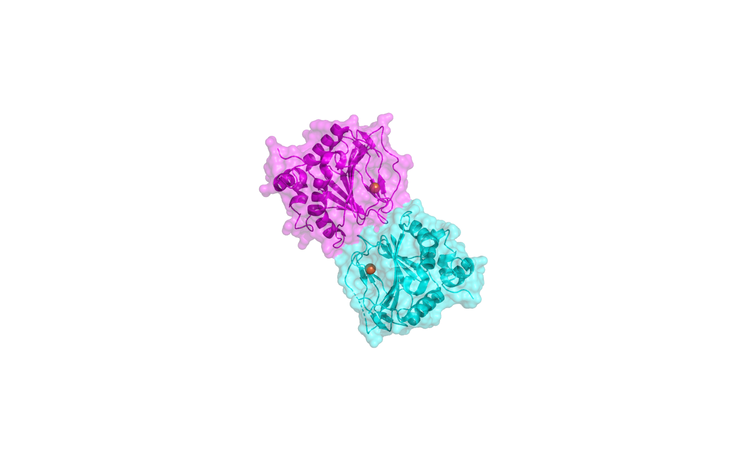 structural representation of Lysyl Hydroxylase L230 (mimivirus)