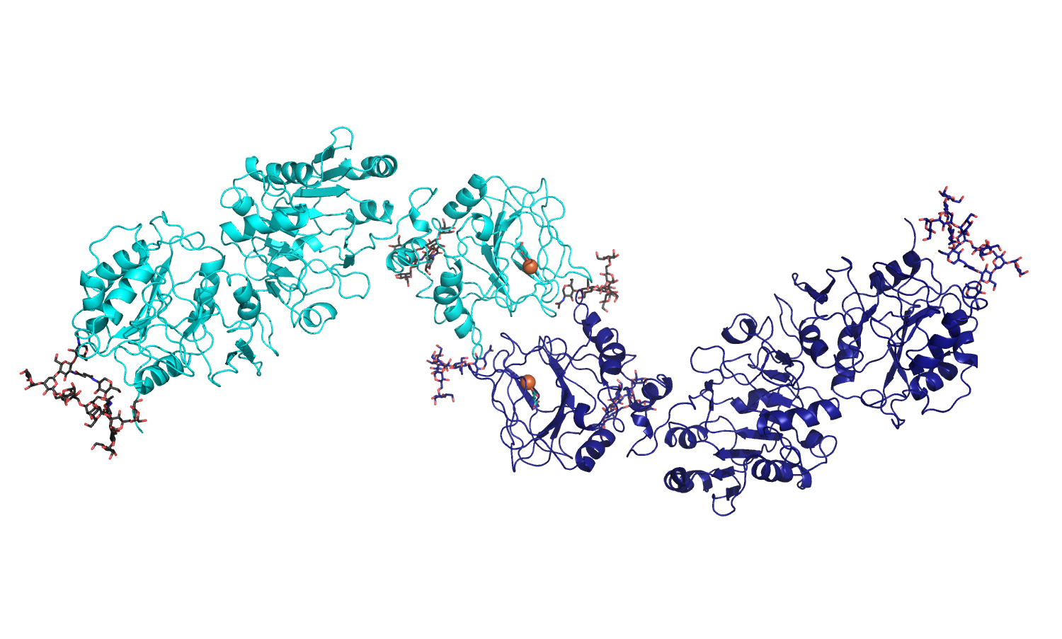 structural representation of Lysyl Hydroxylase 1 (human)