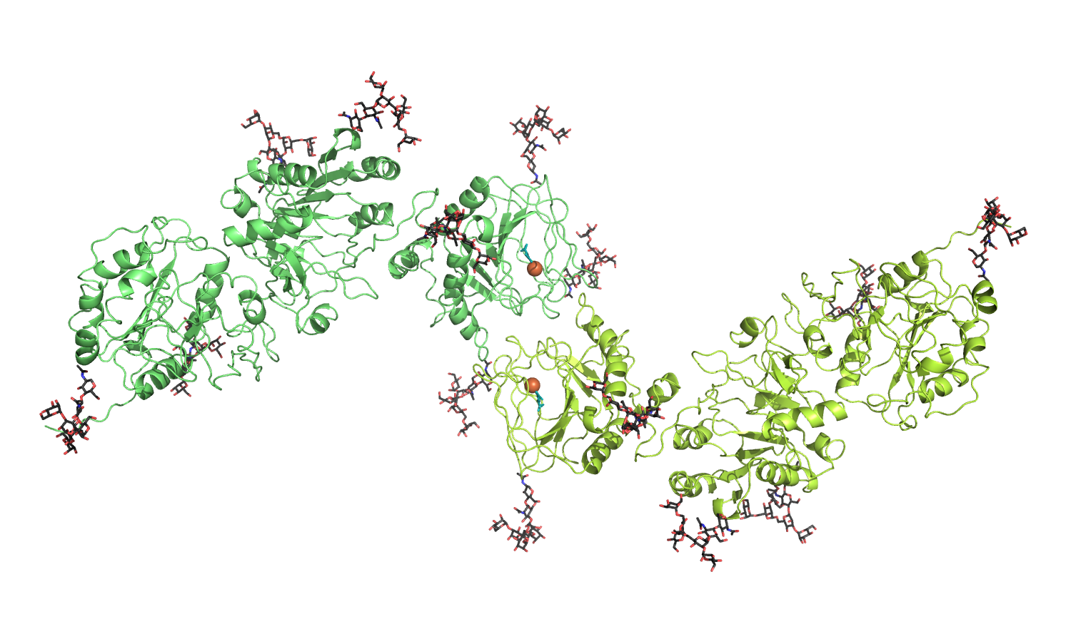 structural representation of Lysyl Hydroxylase 2a (human)