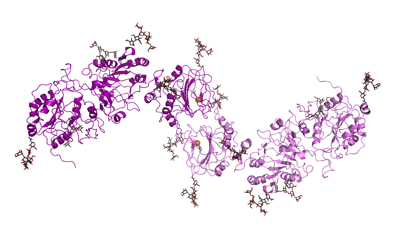 structural representation of Lysyl Hydroxylase 2b (human)