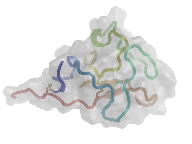 Cartoon representation of the hROR1-KRD. The polypeptide chain is colored from the N-terminus (blue) to the C-terminus (red). Disulfide bonds are shown as ball-and-sticks, and residues constituting the boundaries of the few secondary structure elements are labeled.