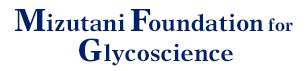 Mizutani Foundation for Glycoscience project image