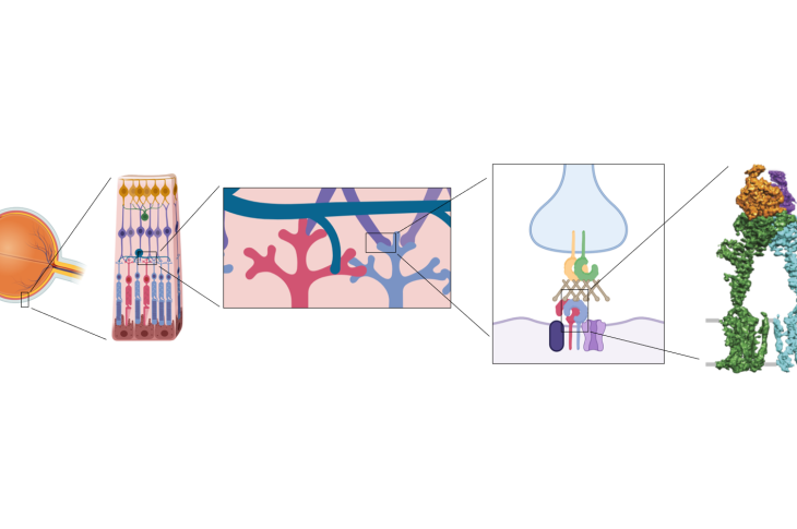 figure_overview_biological_questions_horizontal_complete