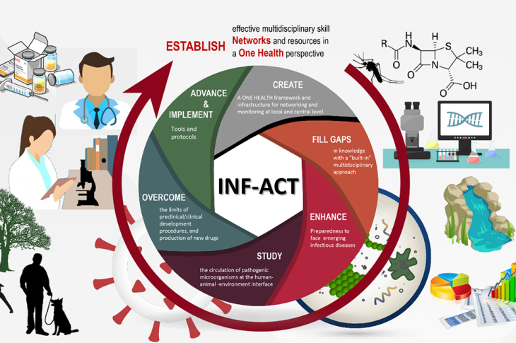 INF-ACT_impact