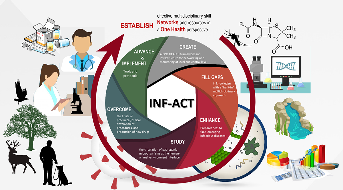 INF-ACT project image