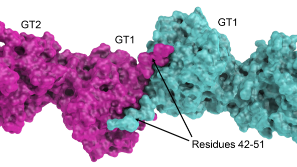 glt2025