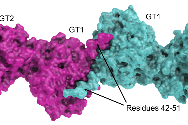 glt2025