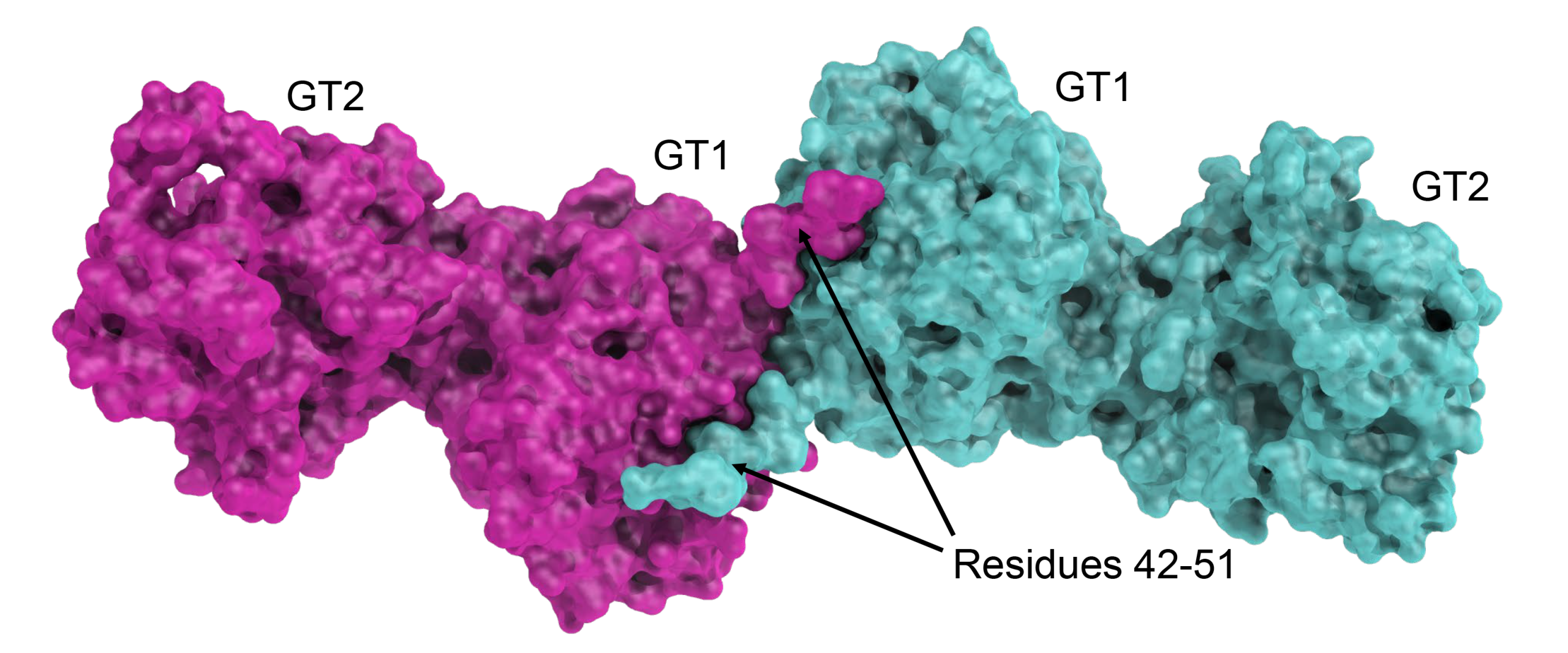 glt2025