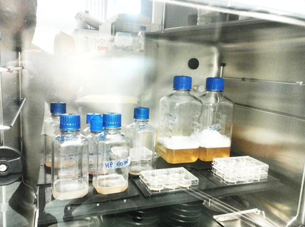 proteinfactory