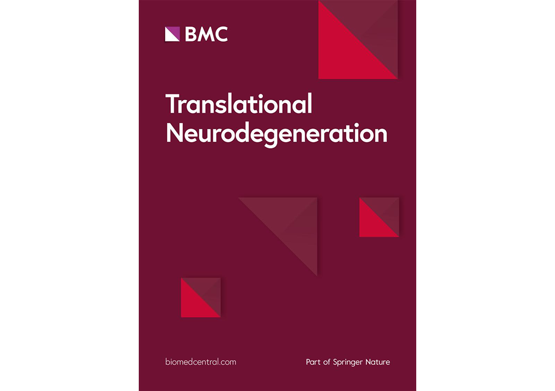 Recombinant SMN protein synergizes with spinal muscular atrophy therapy to counteract pathological motor neuron phenotypes