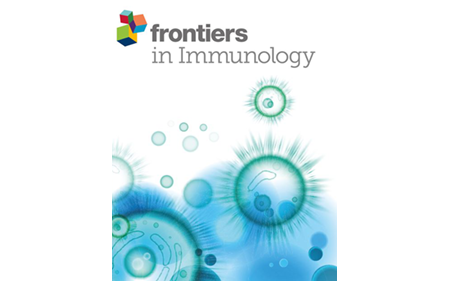 Bi-specific Autoantigen-T cell Engagers as targeted immunotherapy for autoreactive B cell depletion in autoimmune diseases