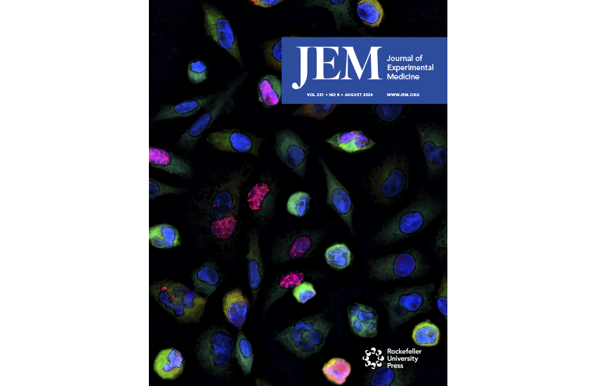 A novel STING variant triggers endothelial toxicity and SAVI disease