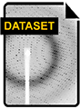 Dataset