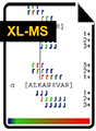 Spettrometria di massa con cross-linking