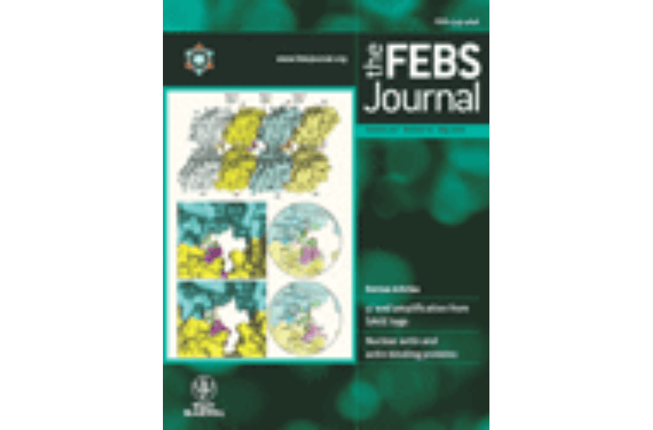 ThermoFAD, a Thermofluor-adapted flavin ad hoc detection system for protein folding and ligand binding.