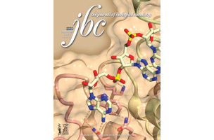 Human histone demethylase LSD1 reads the histone code.