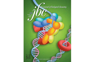 A highly specific mechanism of histone H3-K4 recognition by histone demethylase LSD1.
