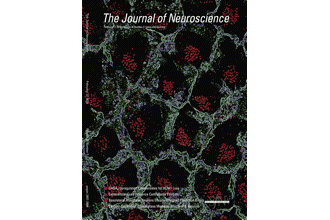 Alternative splicing of the histone demethylase LSD1/KDM1 contributes to the modulation of neurite morphogenesis in the mammalian nervous system.