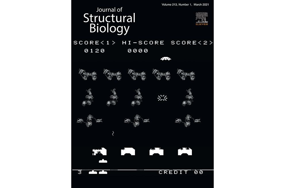 Inference of molecular structure for characterization and improvement of clinical grade immunocytokines