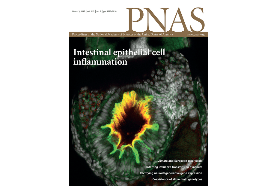 Interplay among nucleosomal DNA, histone tails, and corepressor CoREST underlies LSD1-mediated H3 demethylation