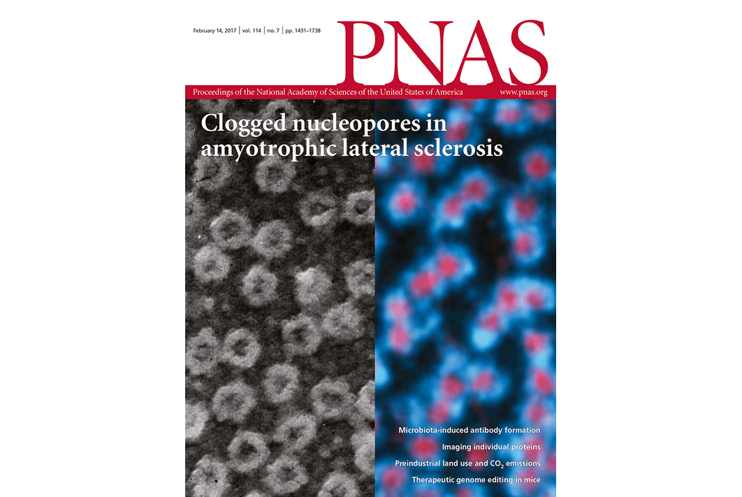 Expanding the structural biology toolbox with single-molecule holography