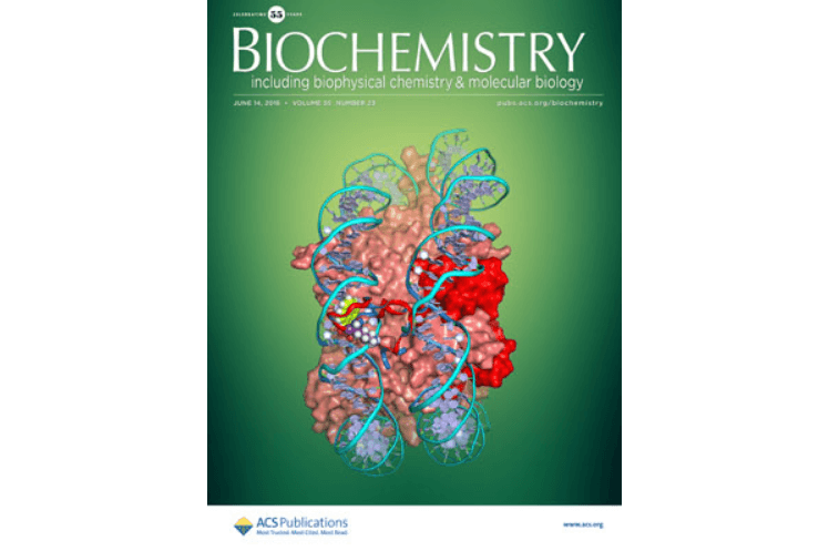 The crystal structure of Burkholderia cenocepacia DfsA provides insights into substrate recognition and quorum sensing fatty acid biosynthesis