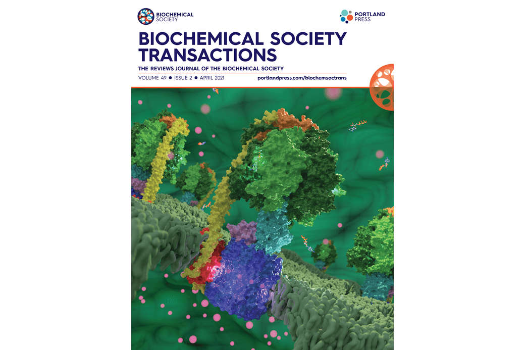Collagen hydroxylysine glycosylation: non-conventional substrates for atypical glycosyltransferase enzymes