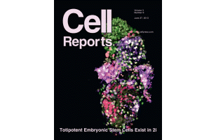 Structure of stem cell growth factor R-spondin 1 in complex with the ectodomain of its receptor LGR5.