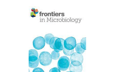 Epidemic Preparedness: Leishmania tarentolae as an Easy-to-Handle Tool to Produce Antigens for Viral Diagnosis: Application to COVID-19