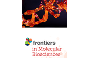 A Fe2+-dependent self-inhibited state influences the druggability of human collagen lysyl hydroxylase (LH/PLOD) enzymes