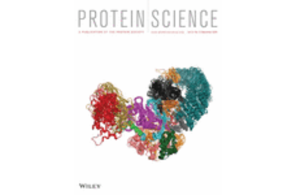 Selection of a PD-1 blocking antibody from a novel fully human phage display library