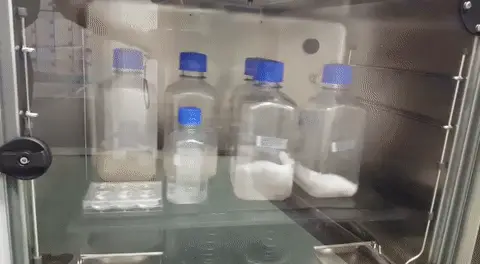 shakingflasks