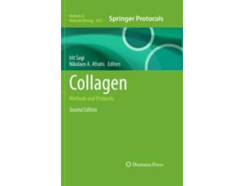 Recombinant Production and Characterization of Human Enzymes Responsible for Collagen Lysine Post-translational Modifications